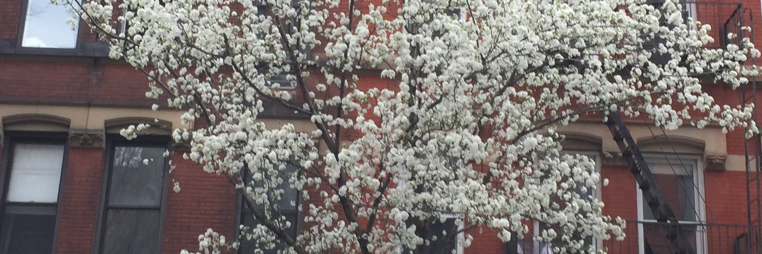 Heliotrope Books banner