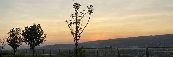 mherrilee Profile Banner