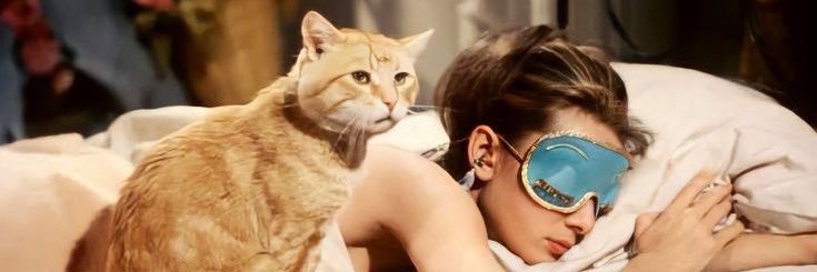 beauthrills's profile banner image