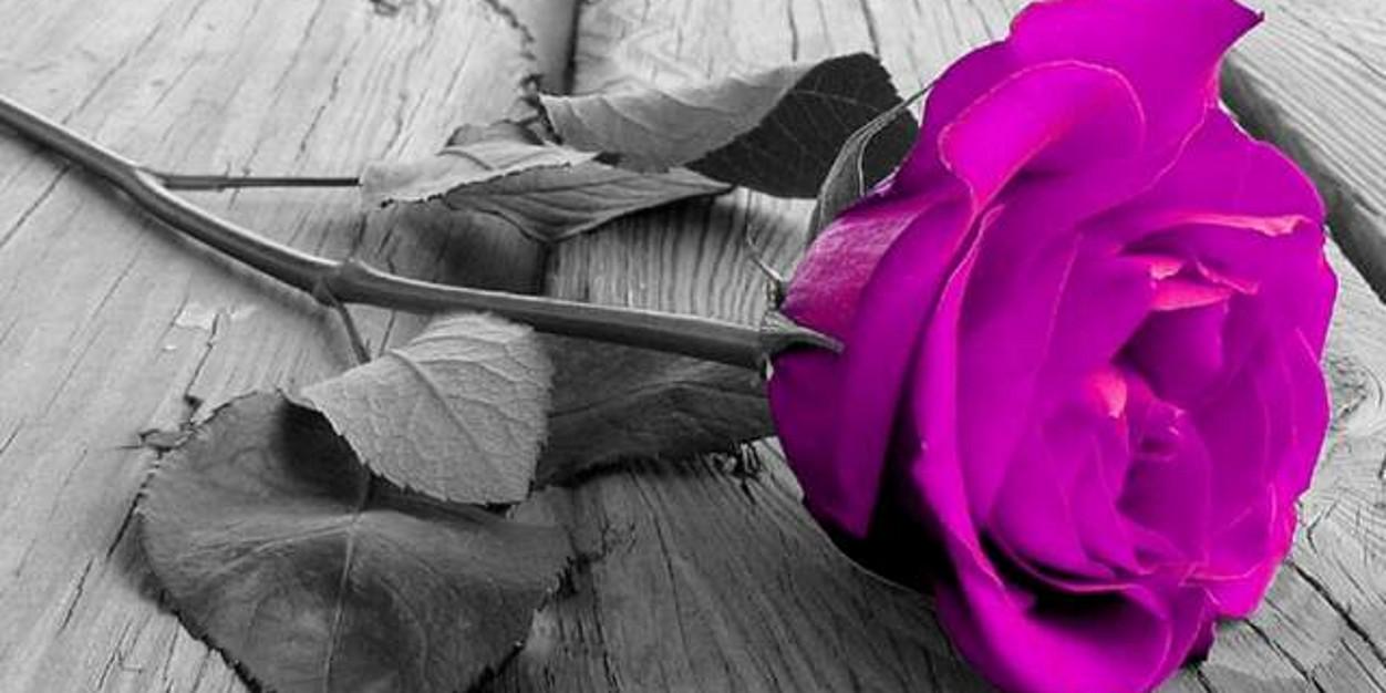 pgmanojbe's profile banner image