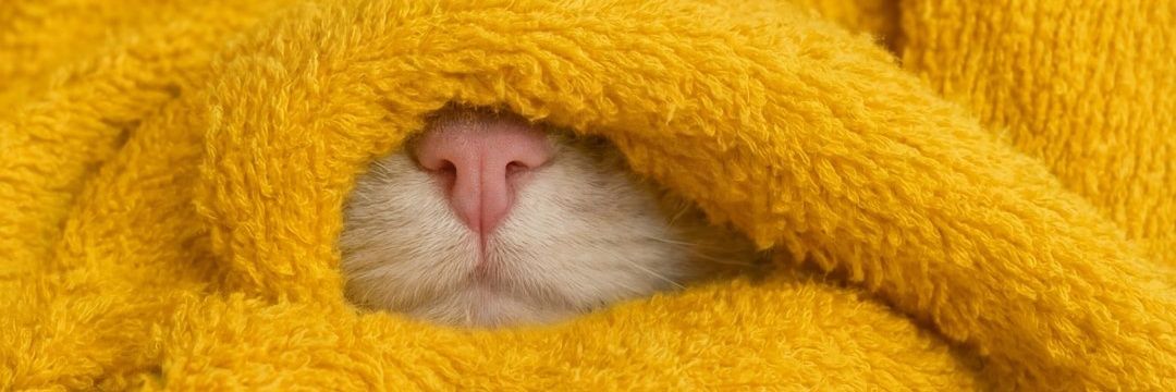 Altcoin Tuzağı banner