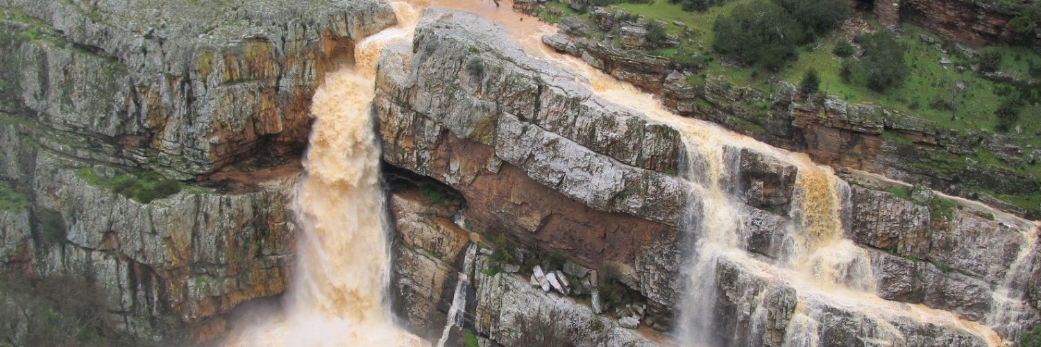 Lab. Patrimonio Natural banner