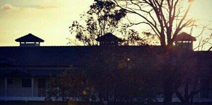 predobiel's profile banner image