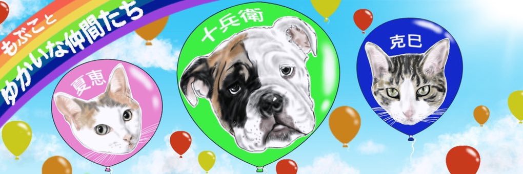 bulldoppo's profile banner image