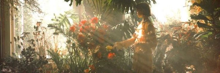 ktedrke's profile banner image