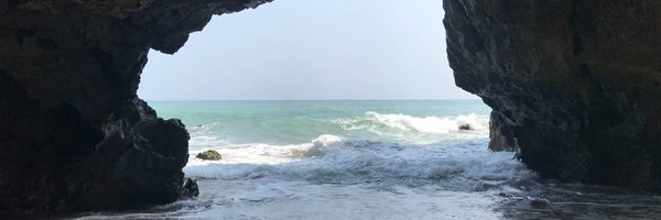 ZheWang_NCB Profile Banner