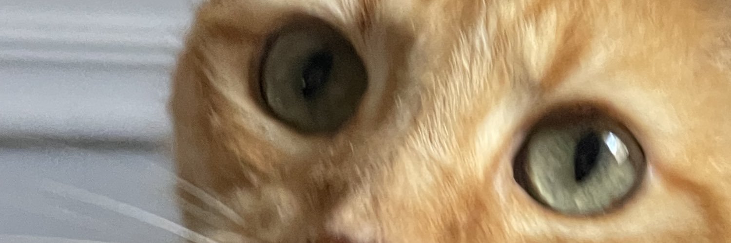 lawiset's profile banner image
