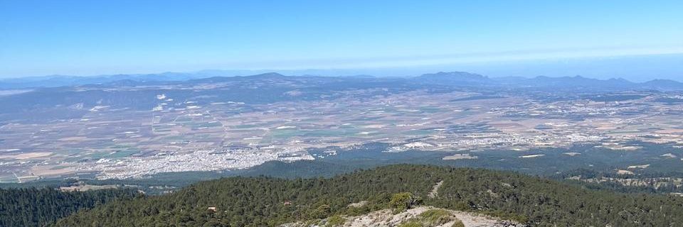 lucitaperez's profile banner image
