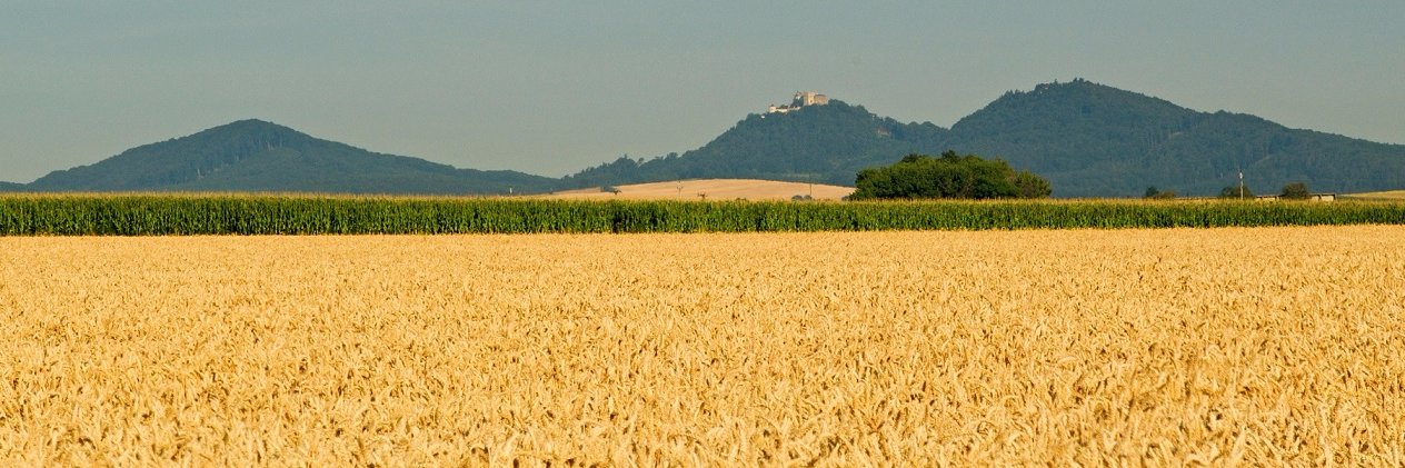 Satora_Josef's profile banner image