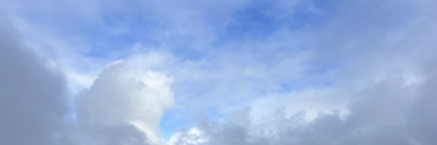 dswang93's profile banner image