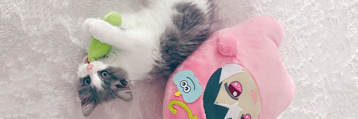 rain🦷 banner