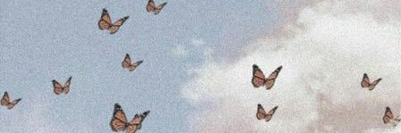 Barbycaputo's profile banner image