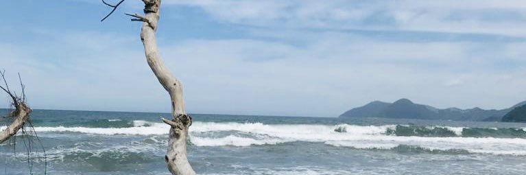 flavia_moraiss's profile banner image