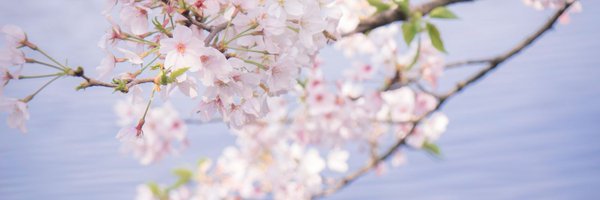 pranav51286 Profile Banner