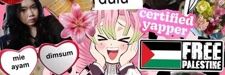 🪿🇸🇩 banner