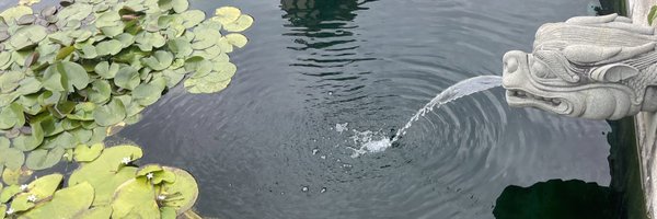 ve_yaaa117 Profile Banner