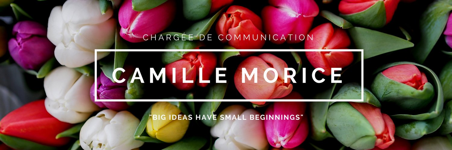 morice_cami's profile banner image