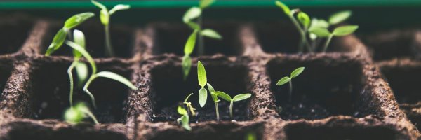 MetadataUplift Profile Banner