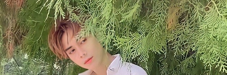 Ying65176133's profile banner image