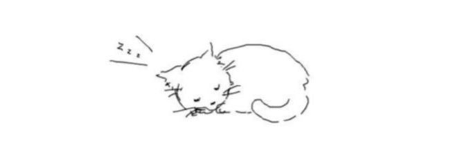 pawchived's profile banner image