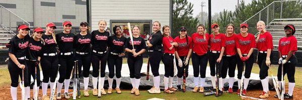 ALXsoftball Profile Banner