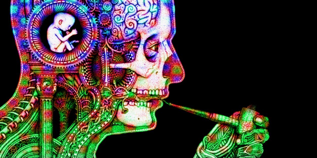 1escualiditoahi's profile banner image