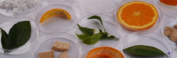 OrangeFiber Profile Banner