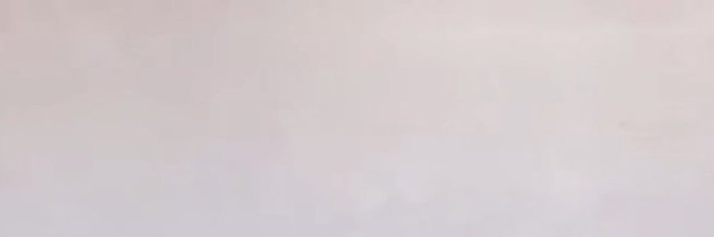 zz banner