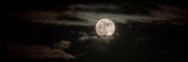 zzzz1359's profile banner image
