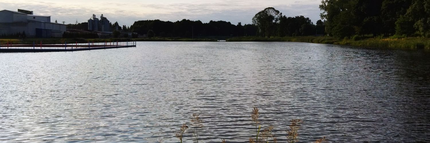 Witek.Lit 🇵🇱🤔👍 banner