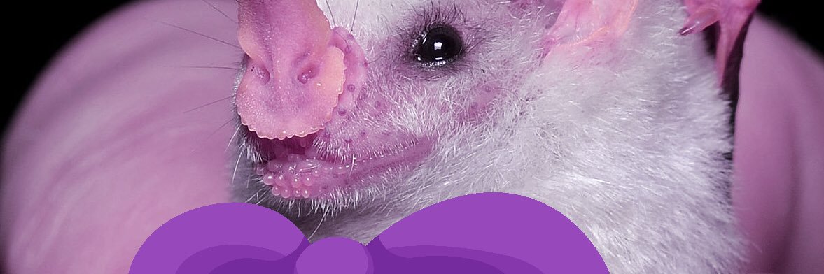 imtheorist's profile banner image