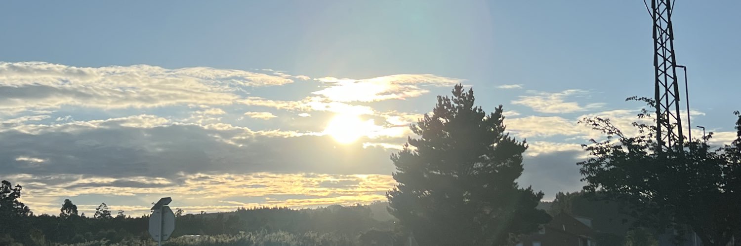 Fs15Sara's profile banner image