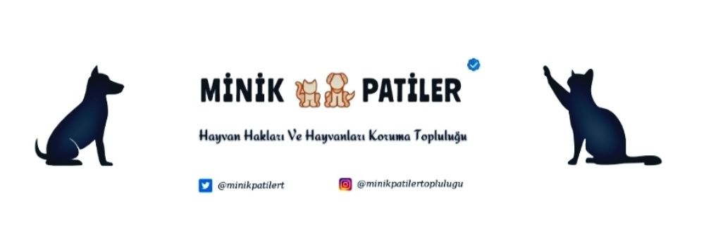 minikpatilert's profile banner image