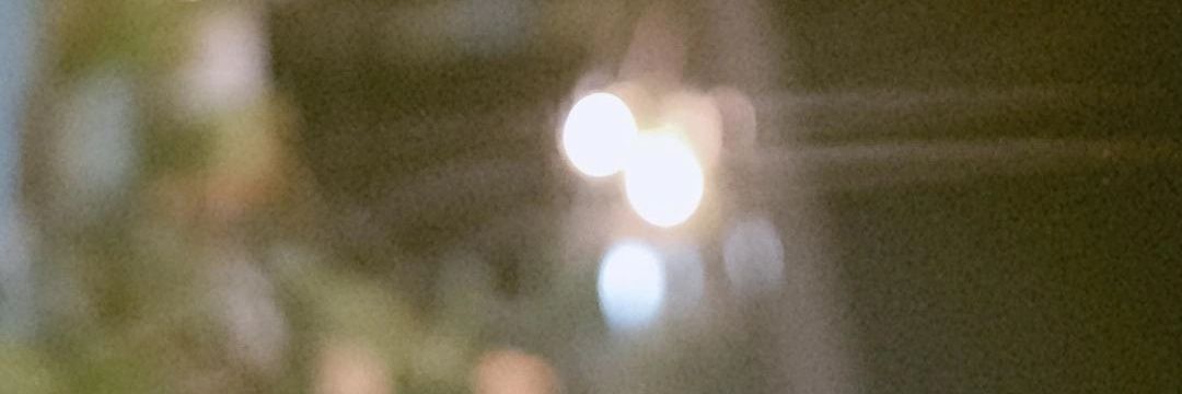 jani banner