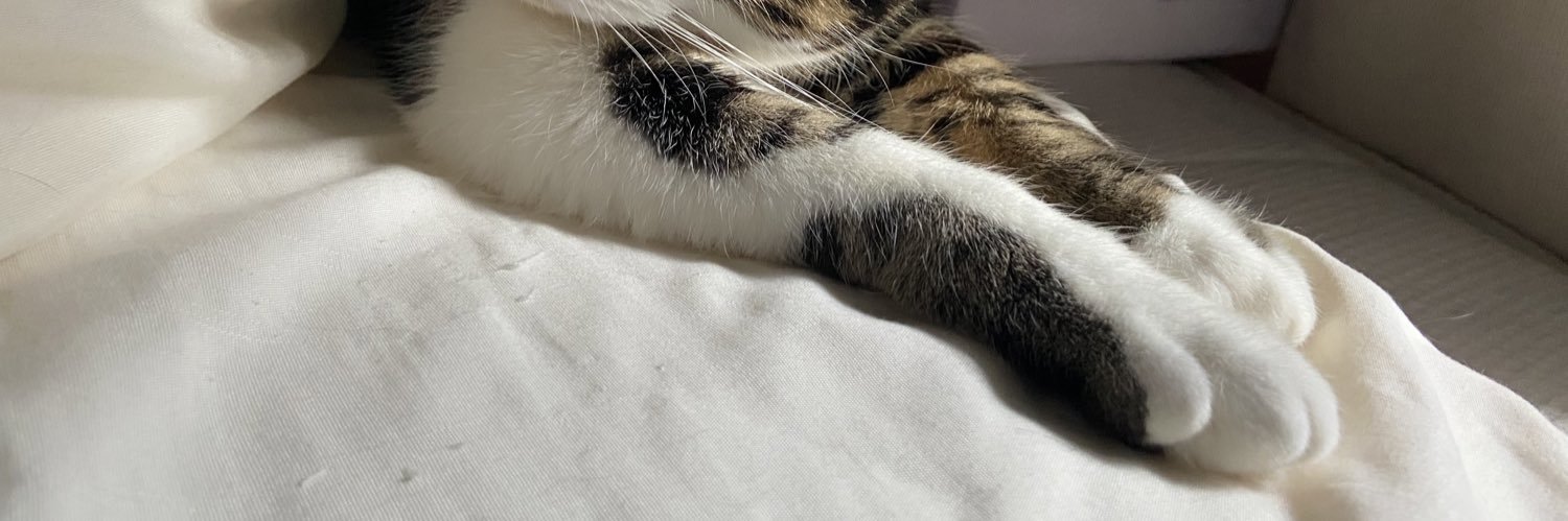 ひなた@バーレスク大阪6/3生誕 banner