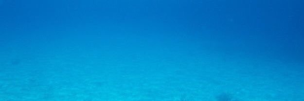 ⍥ banner