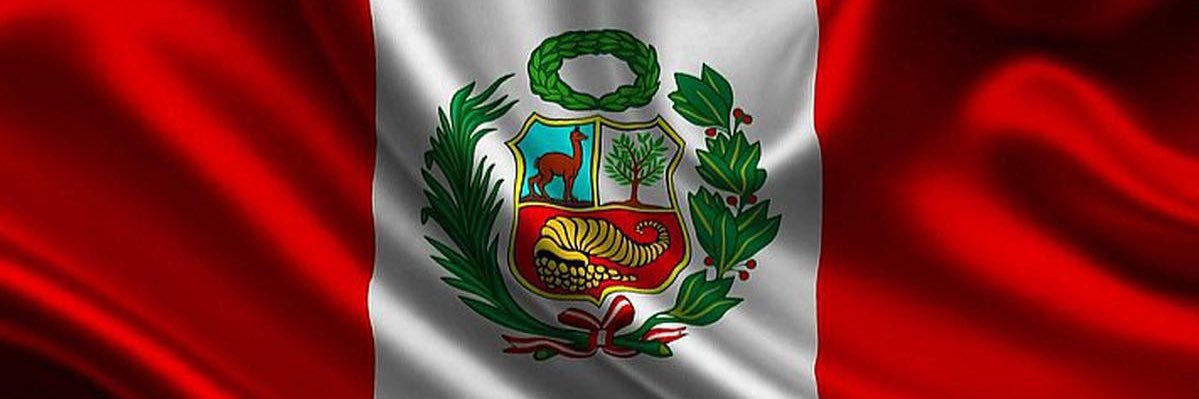 Bancada Honor y Democracia banner