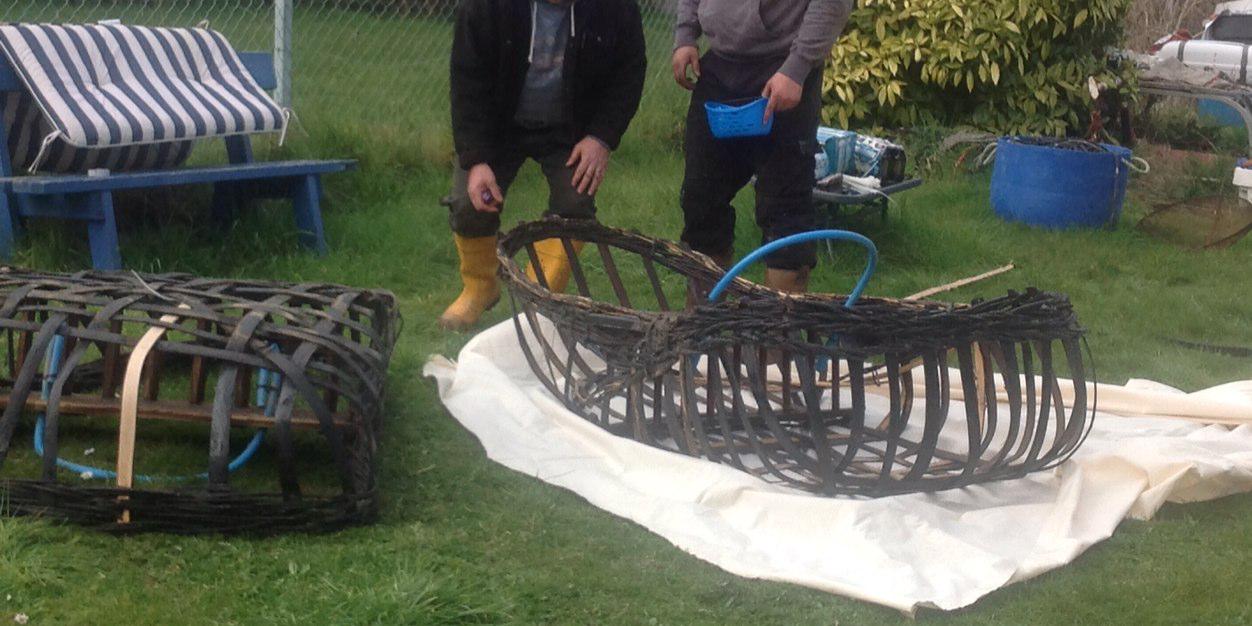CardiganbayFish's profile banner image