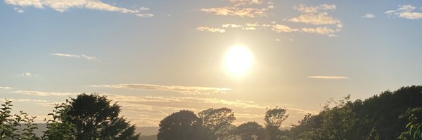 Poole_LF Profile Banner