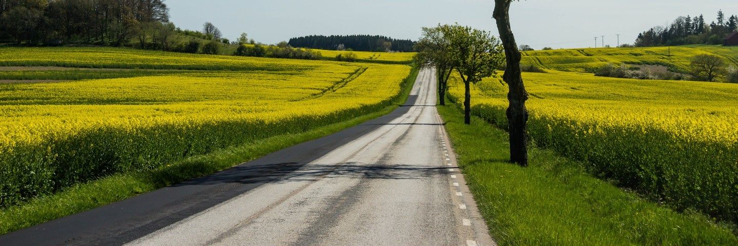 rehu25's profile banner image