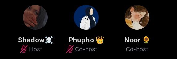 phuphooo__'s profile banner image