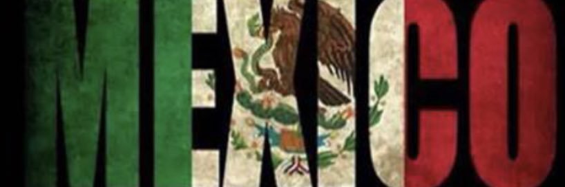 Efren Roman banner