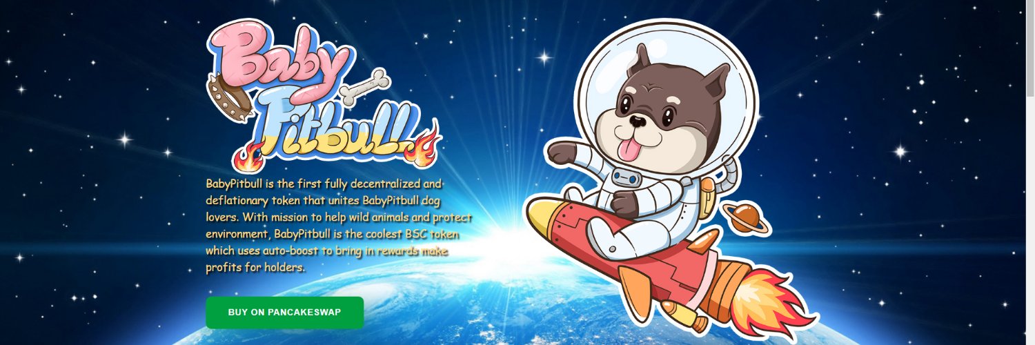 BabyPitbullReal's profile banner image