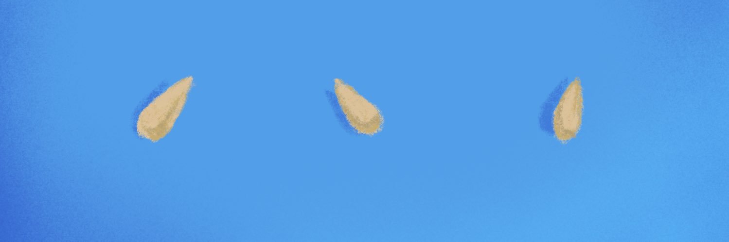 Chakal banner