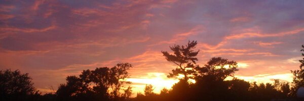 sinpleamezulari Profile Banner