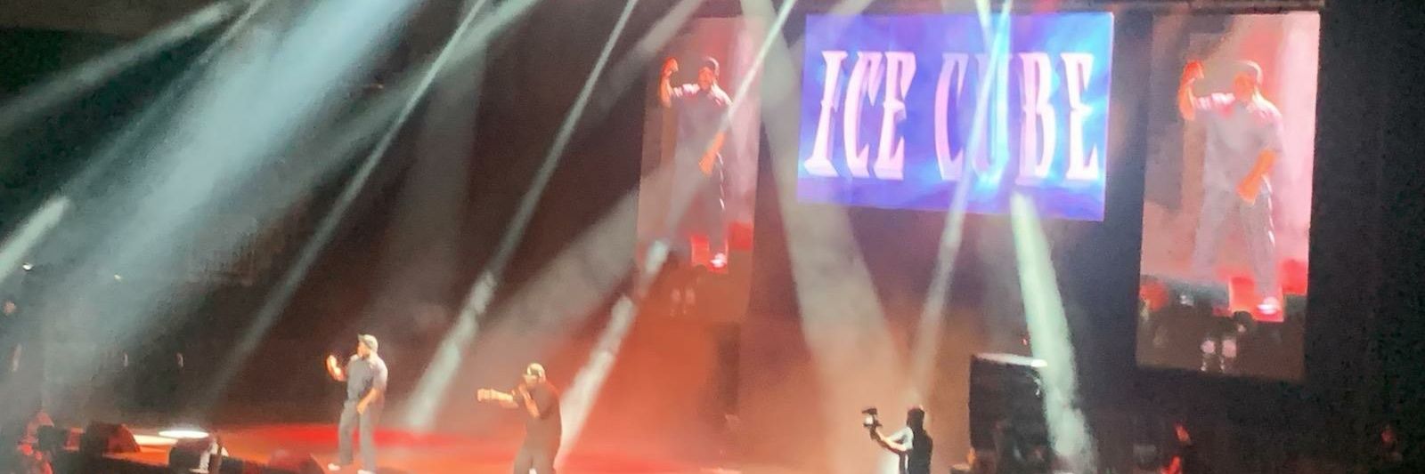 Rice banner