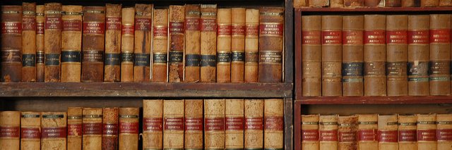 Paloma Jarque banner