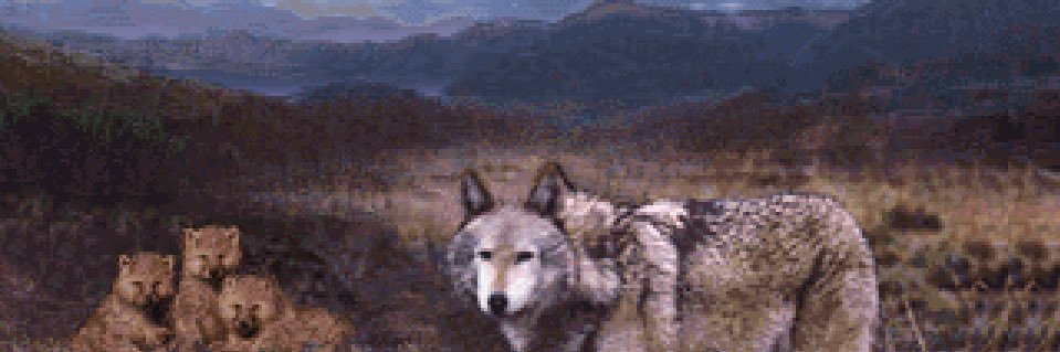 killingdog2's profile banner image