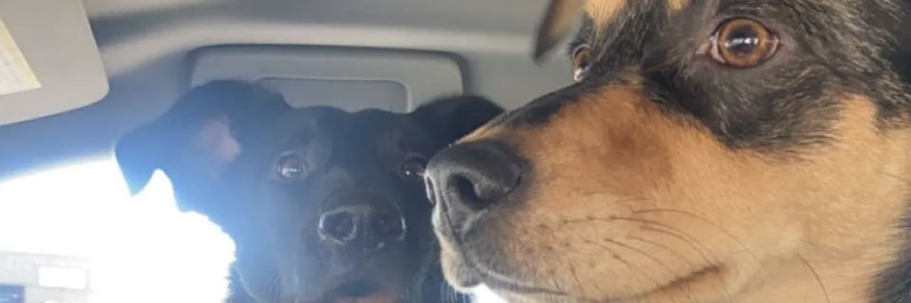 delwebbbb's profile banner image