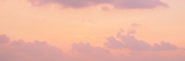 tanyatyc's profile banner image